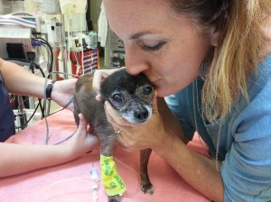 2014-06-01 at 11-45-28