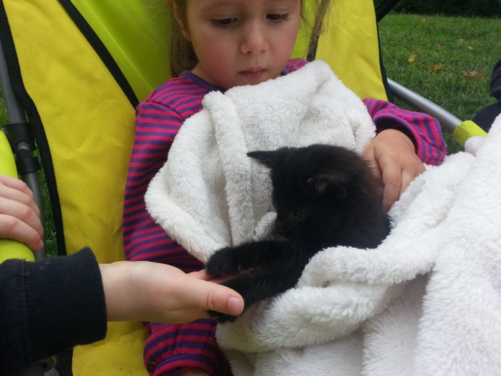 2014-09-13 at 16-03-32