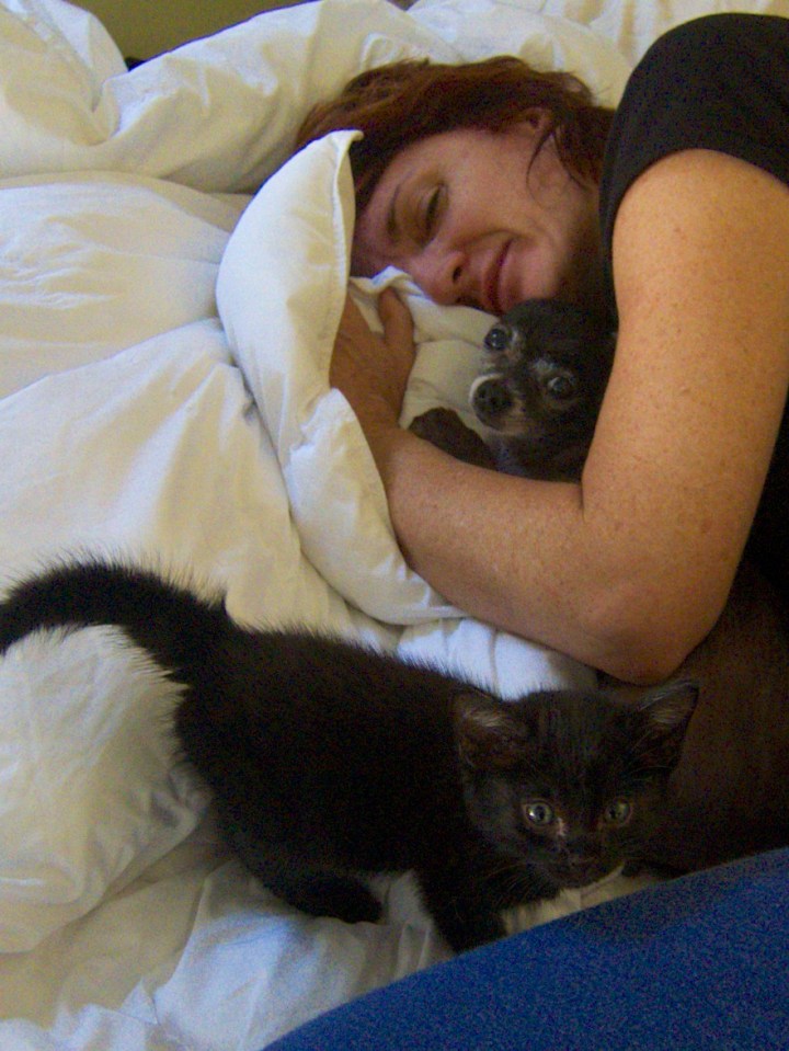 2014-09-14 at 07-31-24