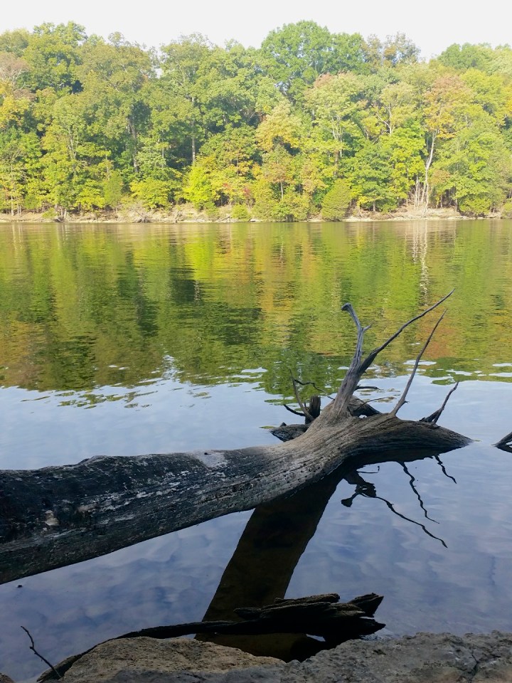 2014-09-27 at 08-32-18