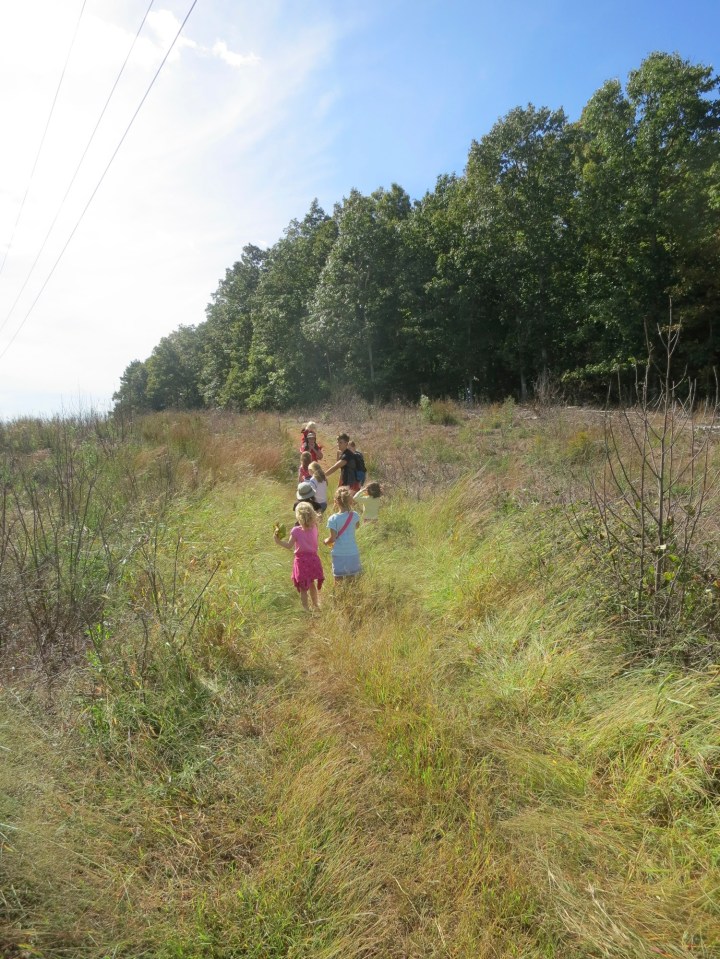 2014-10-04 at 13-31-37