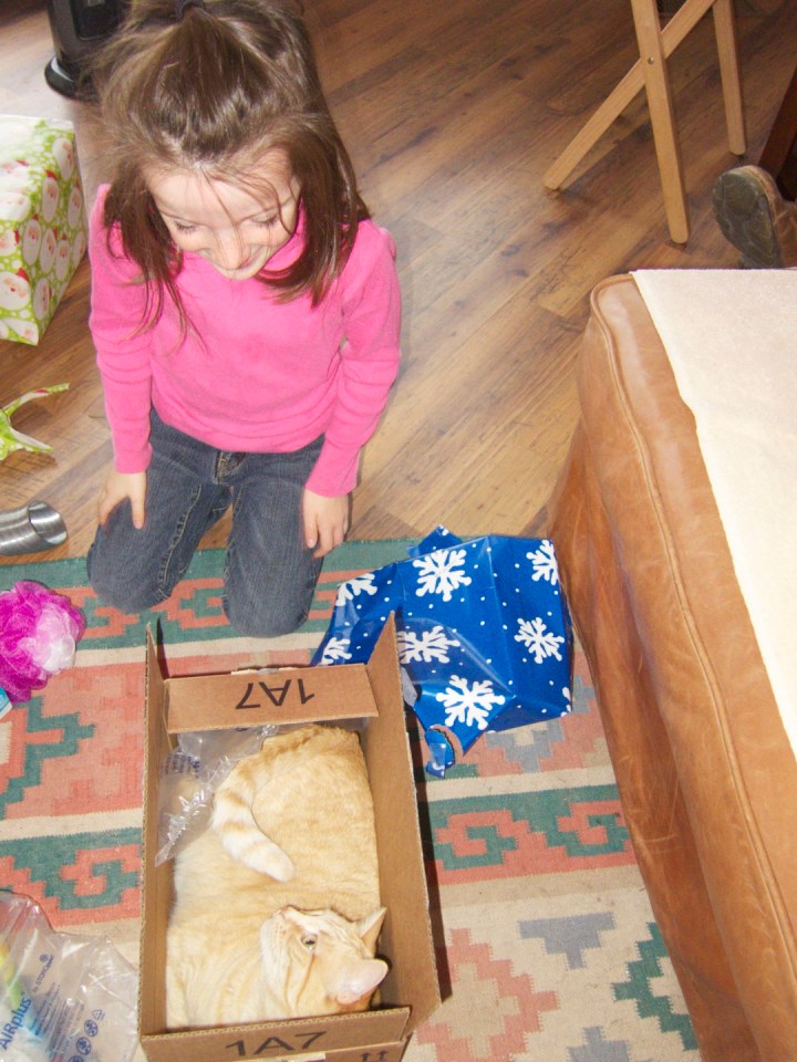 2014-12-25 at 10-37-13