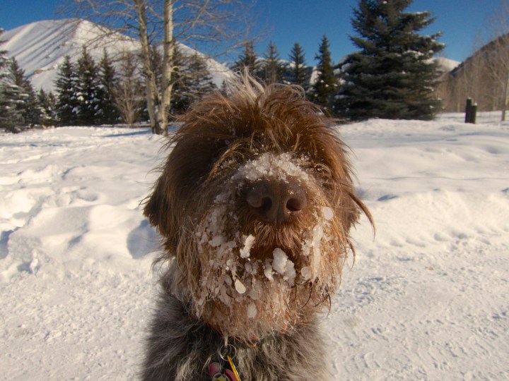 2014-12-30 at 13-25-54