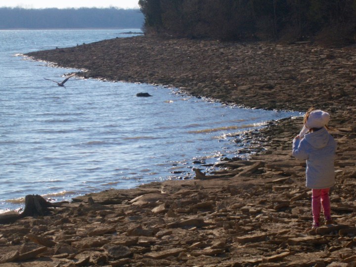 2015-01-24 at 14-52-44