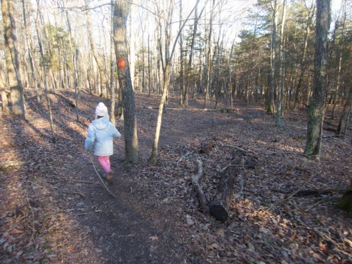 2015-01-24 at 15-50-38