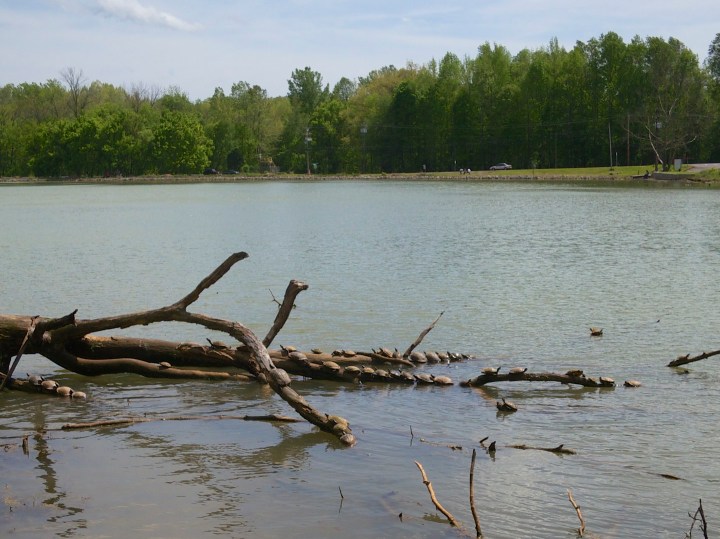 2015-04-25 at 13-18-23