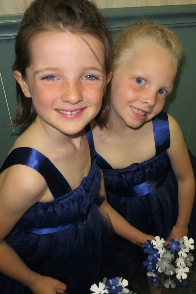 2015-05-23 at 12-29-15